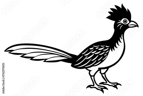 hoatzin silhouette vector  illustration