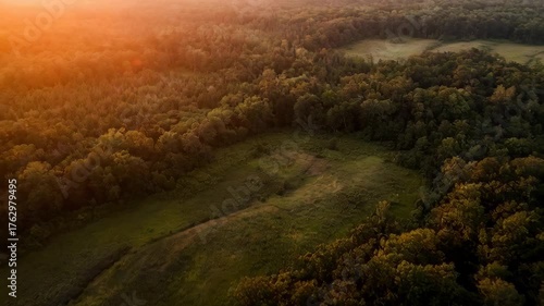Aerial Drone View Of Dense Forest Landscape During Golden Hour Sunset With Orange Sun Rays Illuminating Green Trees And Fields