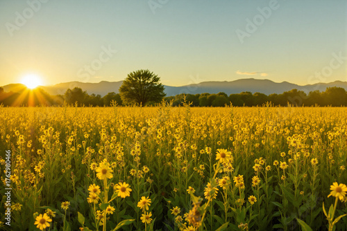 Golden flower field under sunrise with mountains in background  