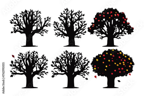 Silhouette Trees: A collection of six trees, each bearing its unique form. They stand in stark contrast to their surroundings, the black silhouettes creating a captivating image.