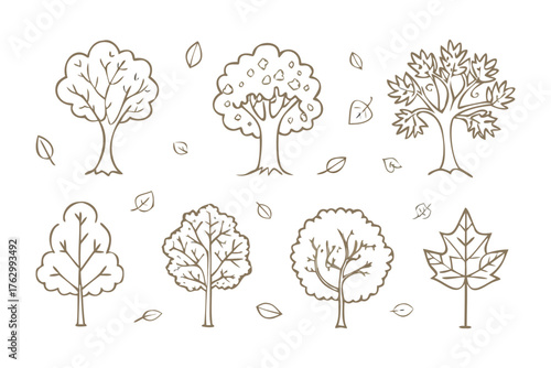 Various Tree Line Art: A set of delicate line art illustrations of varied tree designs and scattered leaves, ideal for adding a touch of nature-inspired elegance.