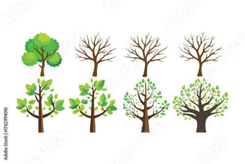 Tree Variety: A collection of various trees showcasing diverse shapes and appearances, perfect for illustrating the different stages of life cycle.