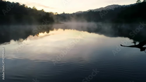 Bird Soaring Over Calm River During Sunrise in Natural Landscape with Misty Hills