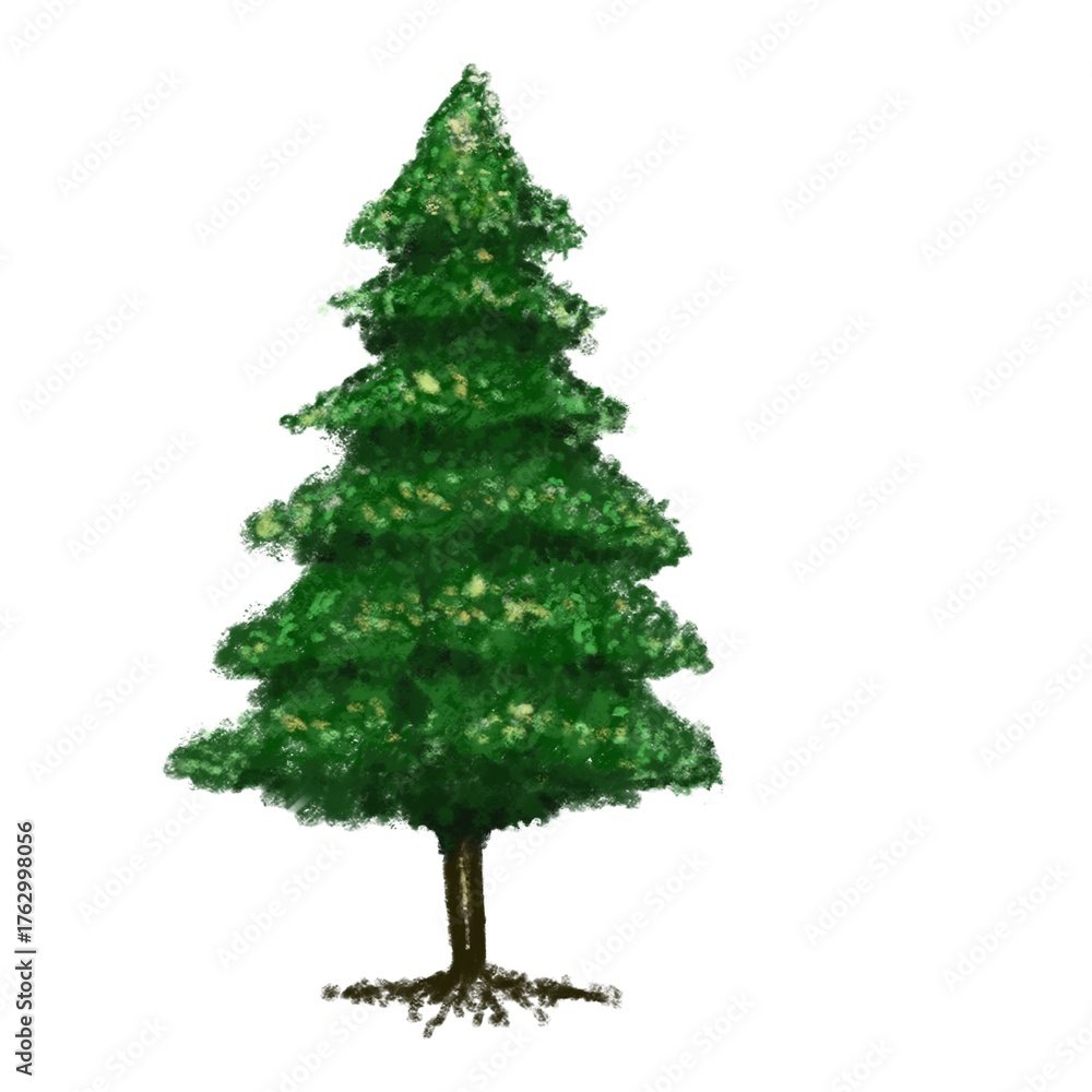 Fototapeta premium Pine Tree