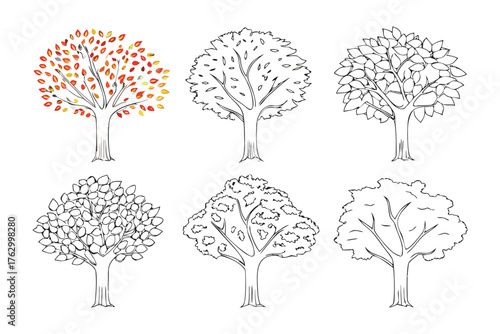 Tree Collection: This image shows a collection of illustrative trees, each one with unique leaf formations and rendered in a minimalist style, perfect for representing growth, nature.