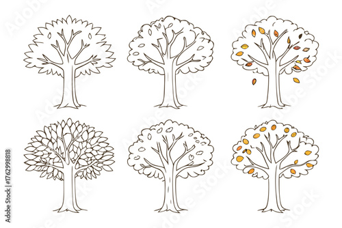 Tree Lifecycle Illustration: A detailed depiction of a tree through its various seasonal transformations, showing the beauty of nature's constant renewal and evolution.