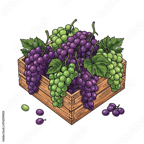 Harvest Bounty: Freshly picked purple and green grapes overflowing from a rustic wooden crate, symbolizing abundance and the essence of a fruitful harvest.