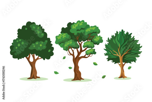 Trio of Lush Trees: Three vibrant trees stand side by side, showcasing their unique forms and verdant foliage in a celebration of nature's diversity.