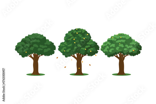 Orchard's Embrace: Three trees stand tall, their leafy crowns adorned with vibrant green foliage, evoking a sense of growth and natural beauty.