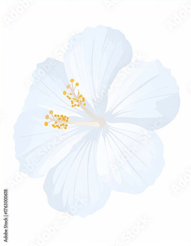 Elegant White Hibiscus Blossom - A Symbol of Beauty and Grace.