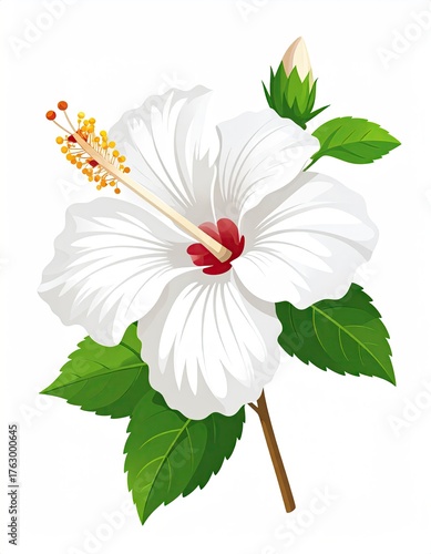 Elegant White Hibiscus Blossom with Bud and Lush Green Leaves.