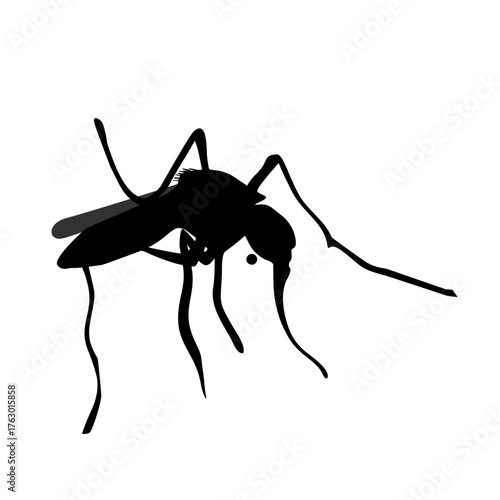 Black worker ant isolated on white background, a macro closeup of the small insect with antenna