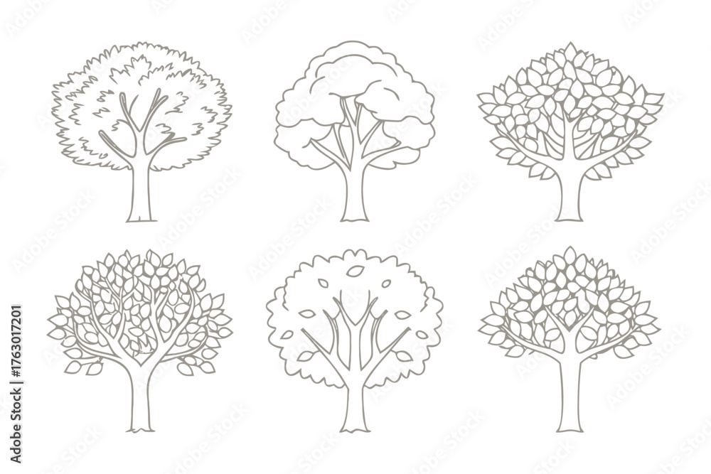 Fototapeta premium Various Tree Outlines: Explore a diverse collection of tree outlines, each offering a unique silhouette and intricate details. These graphic elements can bring the touch of the nature to your designs.