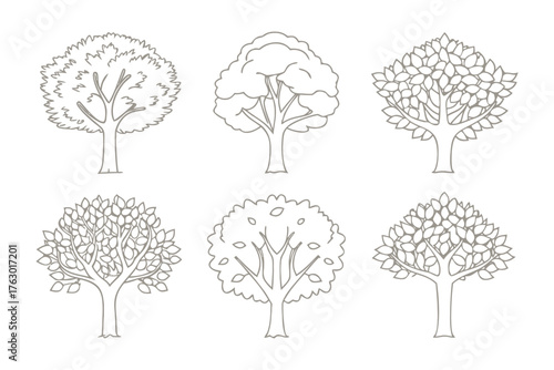 Various Tree Outlines: Explore a diverse collection of tree outlines, each offering a unique silhouette and intricate details. These graphic elements can bring the touch of the nature to your designs.