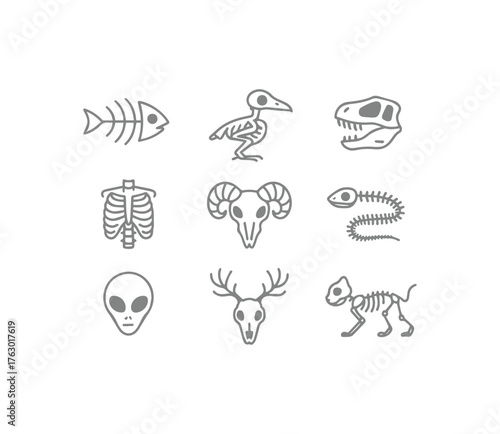Skeletal outline collection diverse animals human and alien forms presented