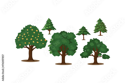 Diverse tree collection: A collection of various tree illustrations showcases the diversity of plant life, with each tree possessing unique features and characteristics. 