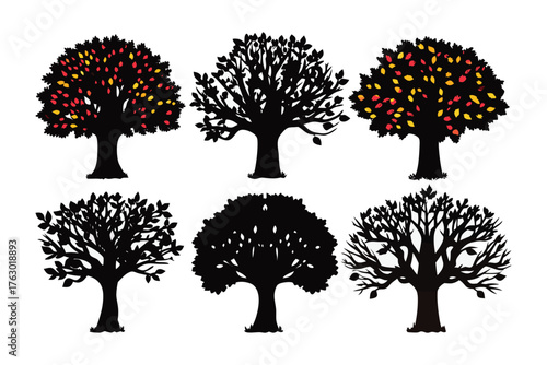 Silhouette Trees in Silhouette: Six silhouette trees present a striking visual, representing various stages of a tree's life cycle. Their forms and textures tell a story of growth and change.