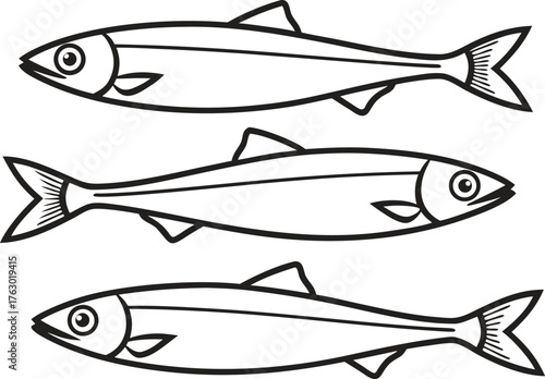 Anchovies Set Illustration in Outlines. Fresh Anchovies Fish Collection. Small Fish Outline Design Set. Anchovy Seafood Illustration Pack. Ocean Anchovies Outline Artwork. Marine Fish Anchovies