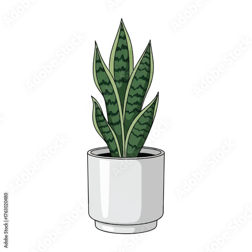 a white pot containing ornamental plants with long leaves