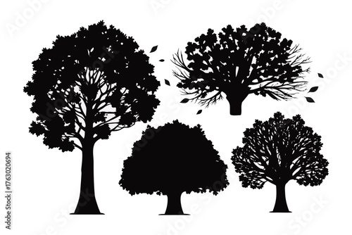 Silhouette Forest: Five different trees stand tall, their dark silhouettes against the bright sky, a tribute to nature's silent giants and their timeless beauty.