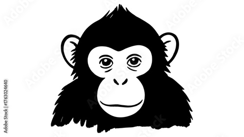 a monkey’s face looking directly at the viewer, showing expressive eyes, detailed texture, and natural artistic realism.