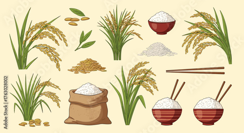 Illustration of rice plants, grains, bowls, and chopsticks arranged on a light background surface .