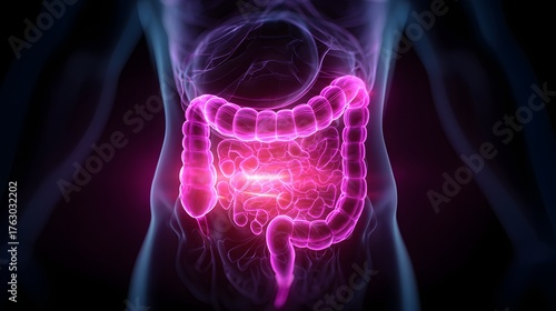 3D glowing x-ray of human abdomen showing large intestine and digestive tract, illustrating stomach pain or digestion issues.