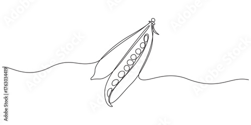 Green beans vegetable one line art vector illustration,1