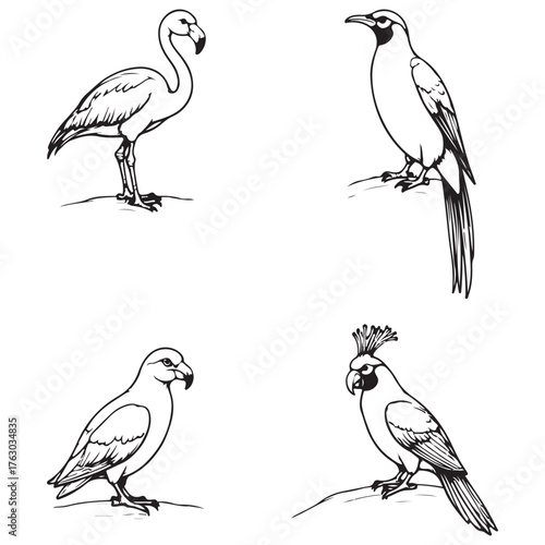 Cute Cartoon Birds Line Art Collection