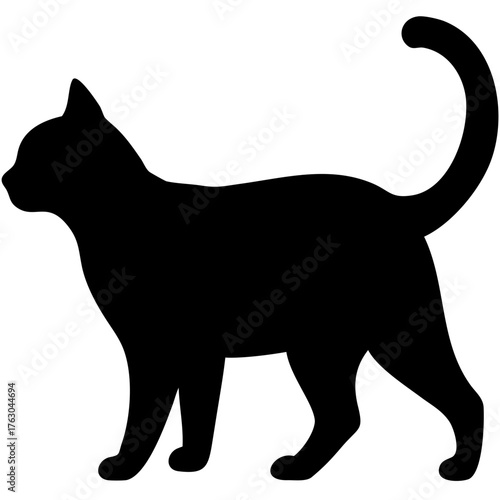 Black Cat Silhouette