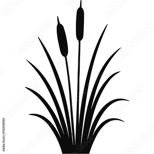 cattail plants silhouette