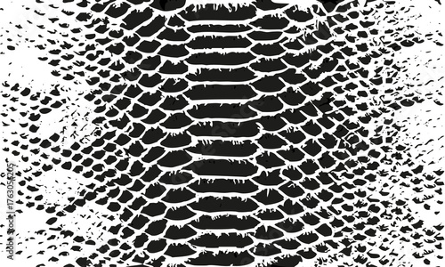 texture pattern white black snake crocodile reptile seamless repeat. Amazing hand drawn vector illustration. Print