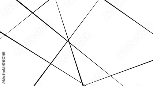 Metal grid isolated on the white background. nervures de Feuillet mores, Abstract lines in black and white tone of many squares and rectangle shapes.