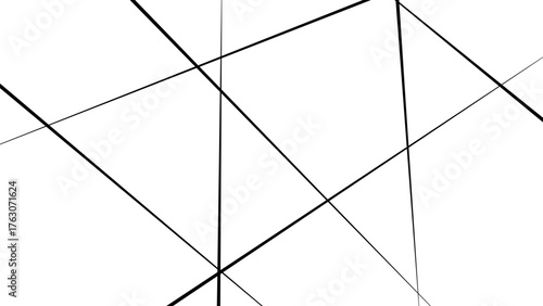 Metal grid isolated on the white background. nervures de Feuillet mores, Abstract lines in black and white tone of many squares and rectangle shapes.