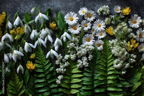 Verdant Spring Awakening - A Moody Flat Lay of Snowdrops, Daisies, and Ferns.