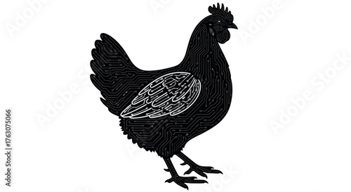 Silhouette of a black hen detailed wing texture vector illustration transparent background for farm or food related designs