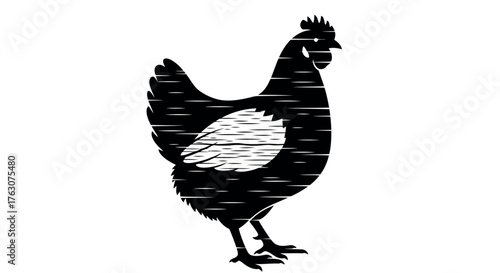 Black and white chicken illustration woodcut style vector image for farm or food related designs transparent background