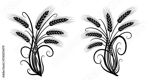 Wheat ears vector illustration decorative design element for harvest festival transparent background