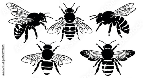 Set of bee illustrations black and white vector design perfect for nature-themed projects and educational materials transparent ba