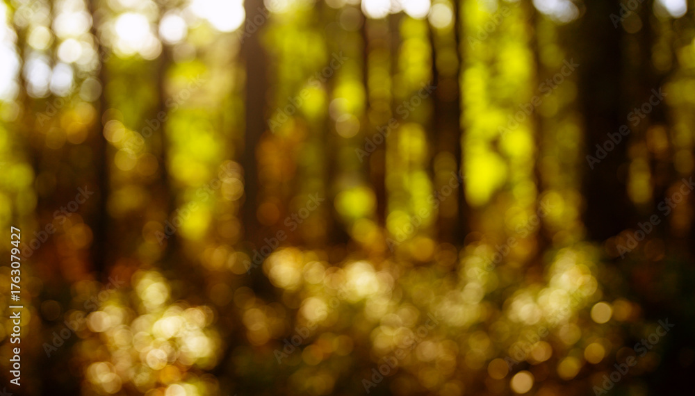 Obraz premium Autumn leaves blurred golden background. Soft blur of yellow and orange background. Vibrant fall colors background. Golden foliage background. Sunlight shines through autumn trees.