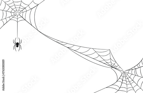 Minimal black spider web corners on white background with hanging spider, elegant Halloween border design with thin delicate lines, clean minimalist vector illustration isolated on white