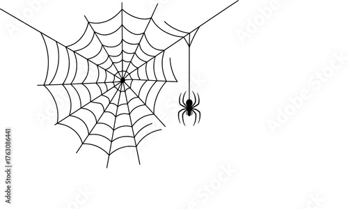 Spider web black isolated on transparent background, realistic cobweb vector illustration for Halloween, spooky decoration, and creepy graphic design elements
