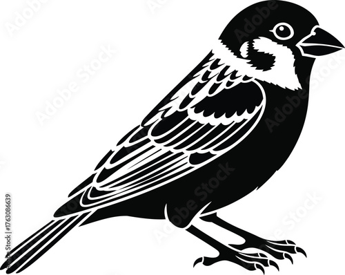 A black and white illustration of a small bird perched with detailed feathers and a sharp beak design style
