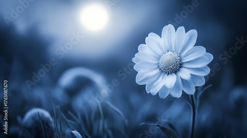 Serene blue daisy glows under soft moonlight, evoking tranquility and peace