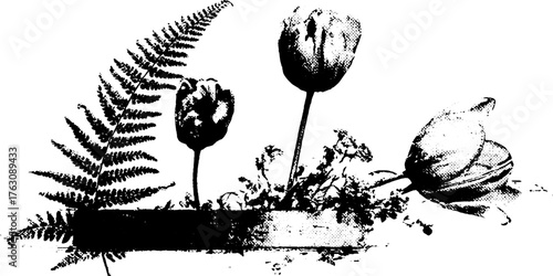 Monochrome halftone illustration of tulips and ferns with gritty xerox effect for art projects