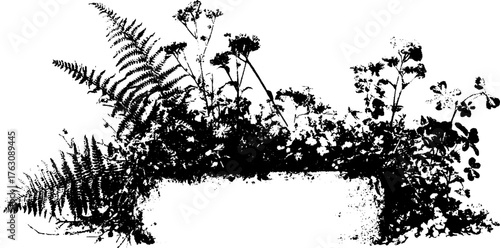 Black and white halftone illustration of ferns and flowers in rectangular frame