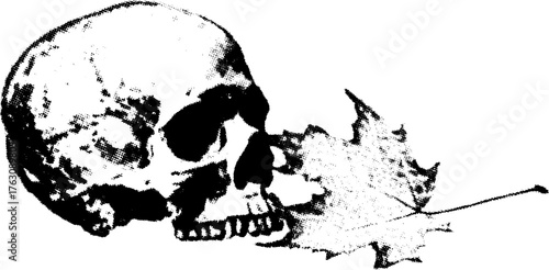 Gritty black and white skull and leaf halftone design for tattoo or poster art