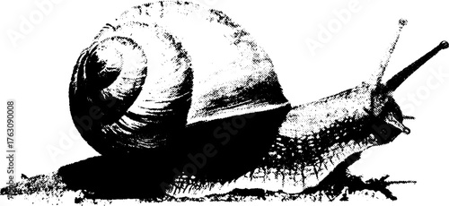 Black and white halftone snail shell design for print and artistic projects