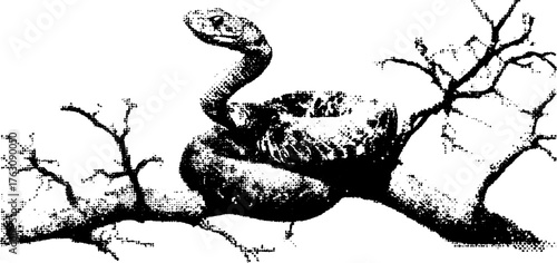 Black and white halftone illustration of coiled snake on a branch