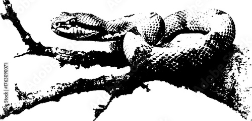 Coiled snake on branch in black and white halftone design for posters or tattoos